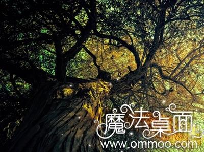 魔幻森林电脑桌面主题,魔幻森林电脑桌面主题下载,魔幻森林电脑桌面主题官方下载